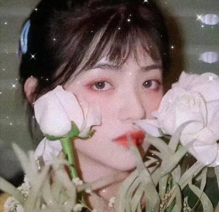 南来北往